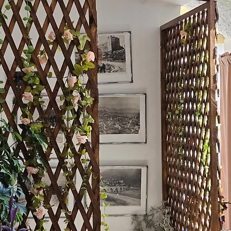 Bujtina Veritos 3* Berat